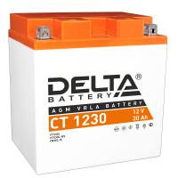   Delta AGM 12 30/ ..  300 168x126x175 CT1230