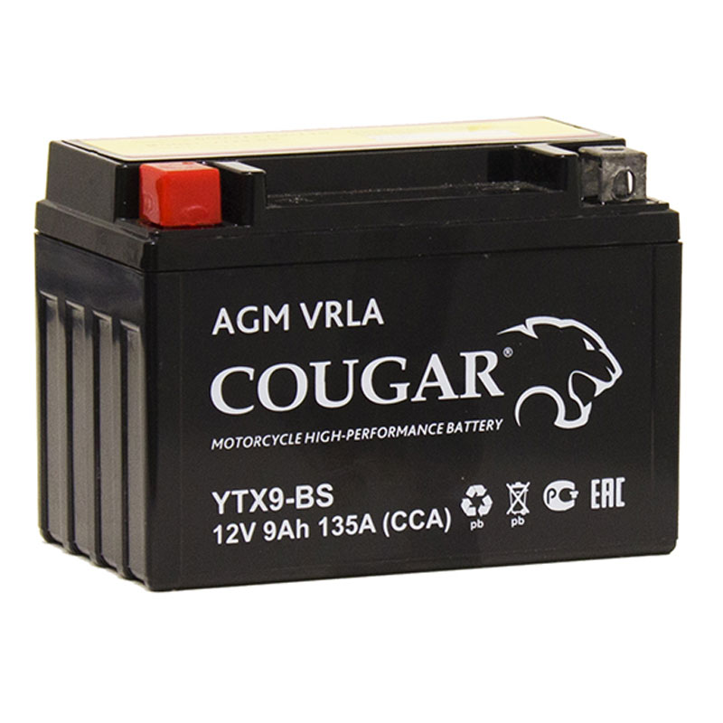 12v 9ah купить. Ytx9b BS. АКБ мото President Innovation 12v 9ah (yt9a-BS) Dry Battery. Аккумулятор мото 12 в 8 а/ч п.п. Fortex AGM ток 130 150 х 65 х 94. Ytx9-BS аккумулятор характеристики.