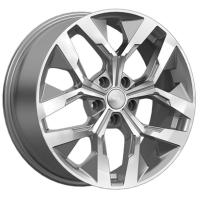 ���� �������