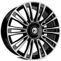 ���� RPLC AITO1